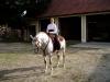 Lilienhof 270805 047